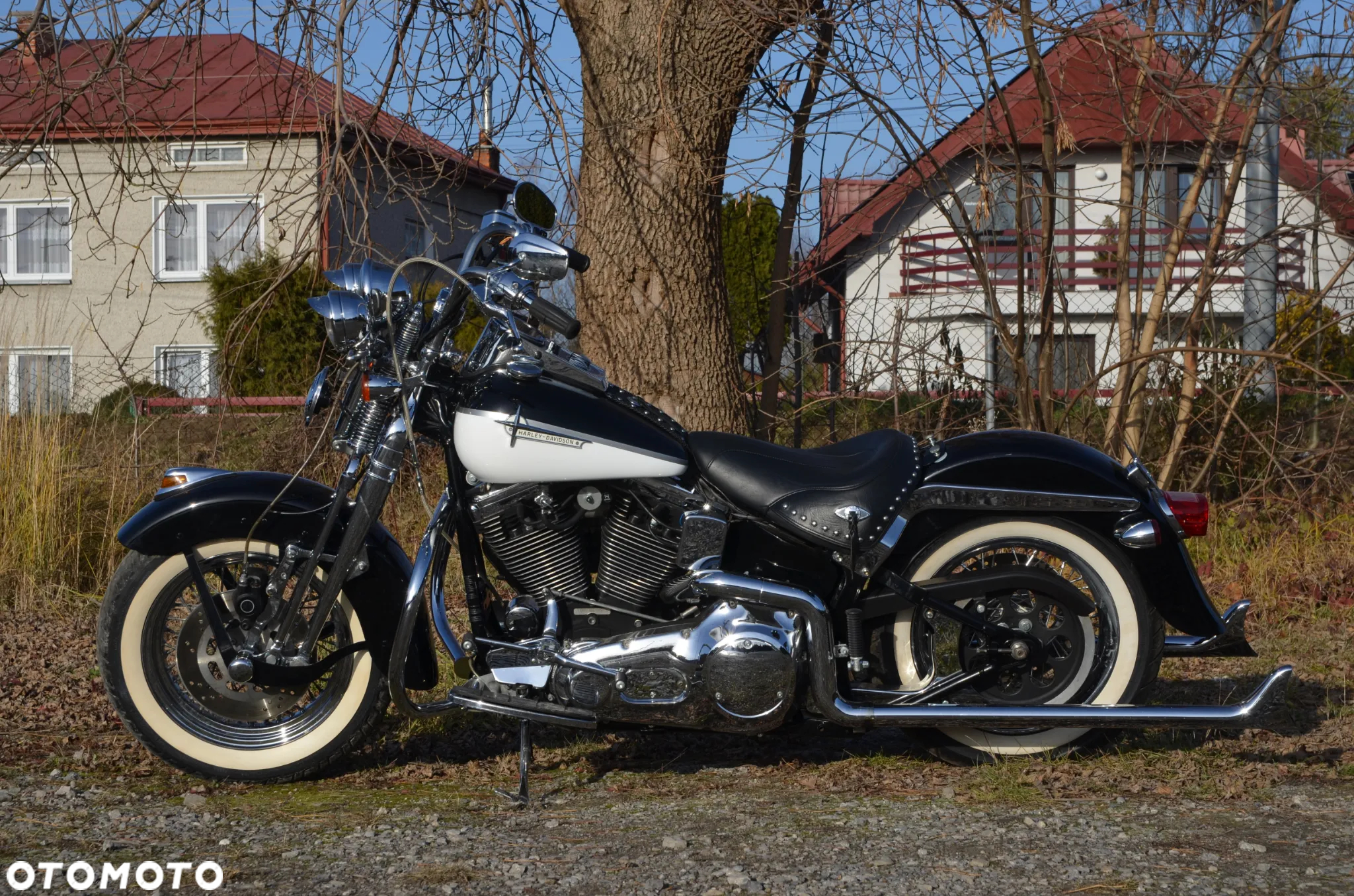 Harley-Davidson Softail Springer Classic - 38