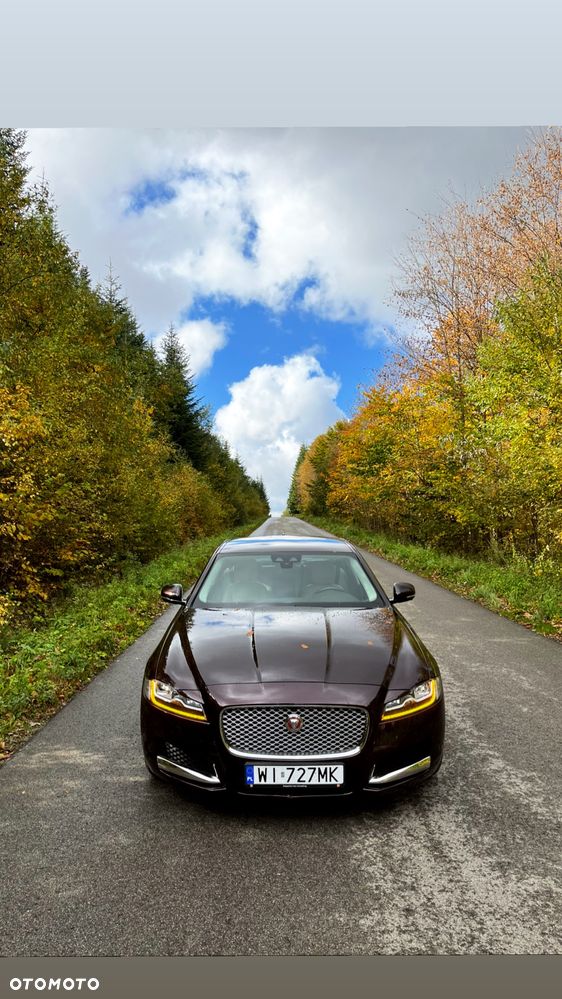 Jaguar XF 2.0 T AWD Portfolio - 2