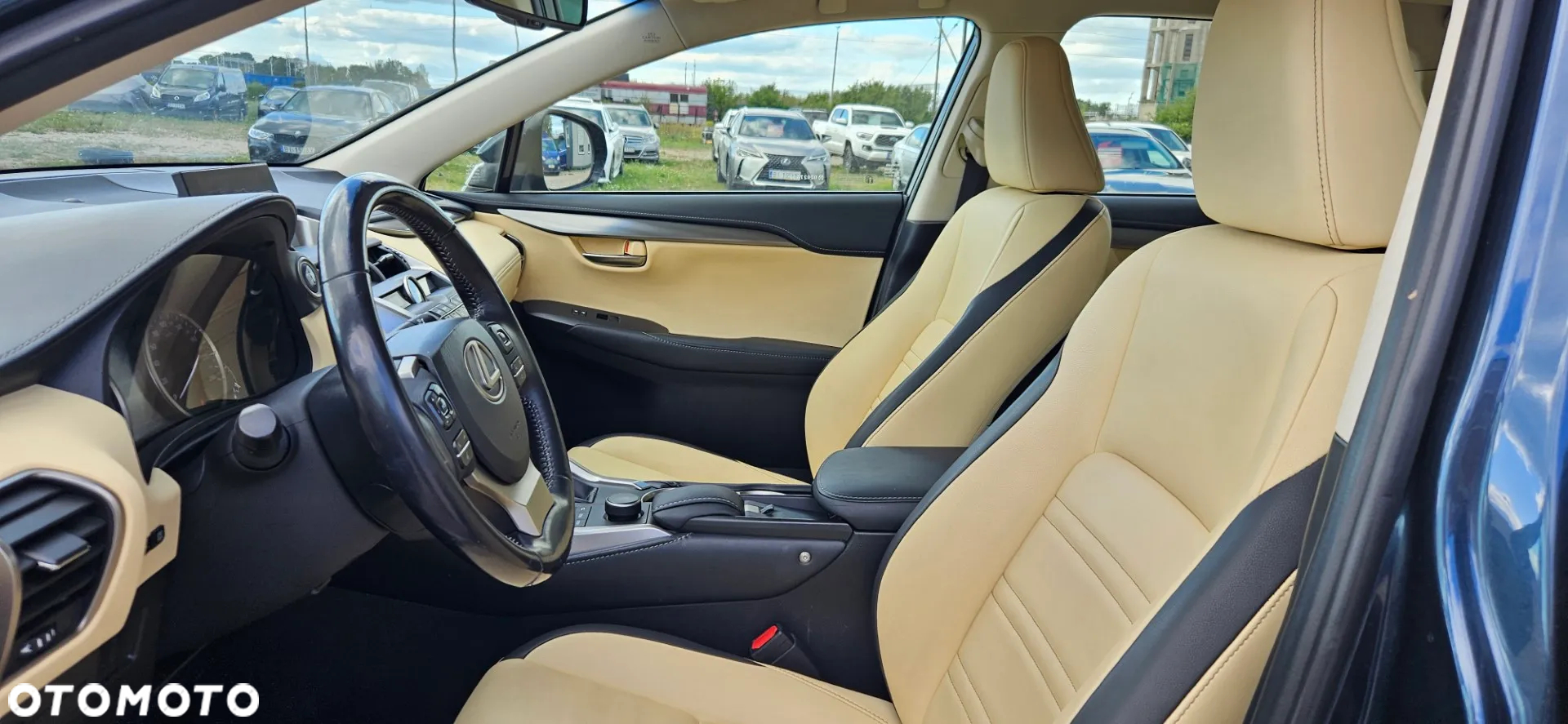 Lexus NX 300h Business Edition AWD - 19