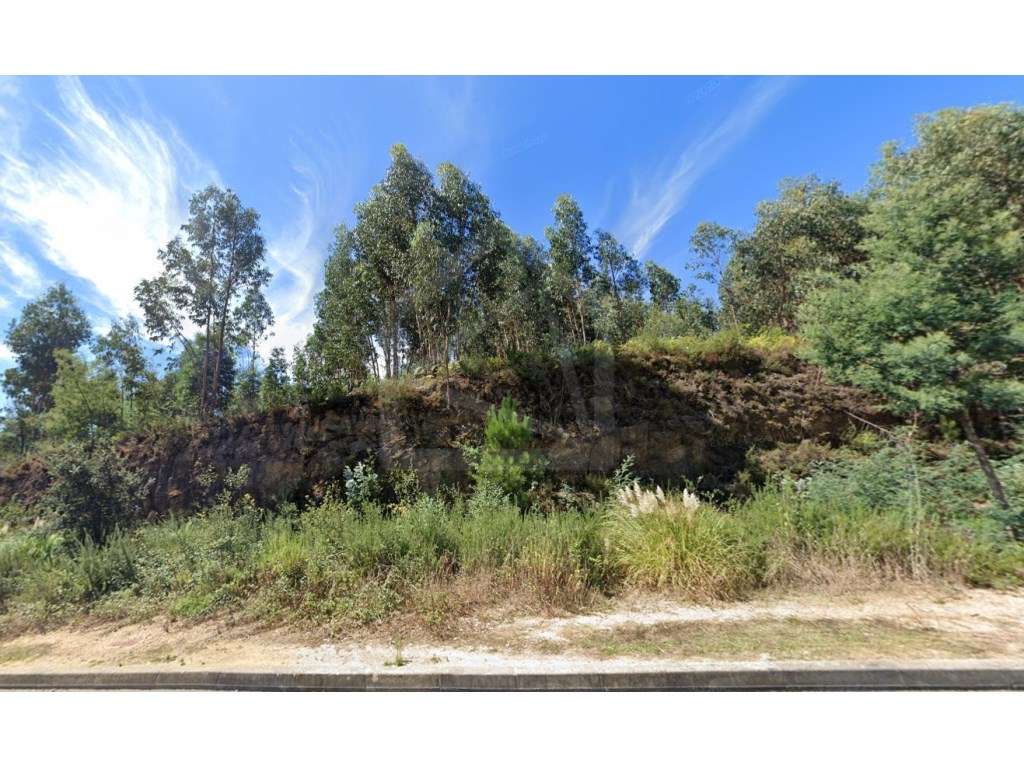 Terreno em São João da Madeira, Aveiro - Grande imagem: 3/4