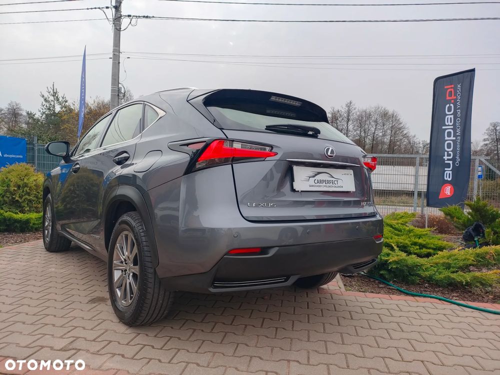 Lexus NX 300h Comfort AWD - 17