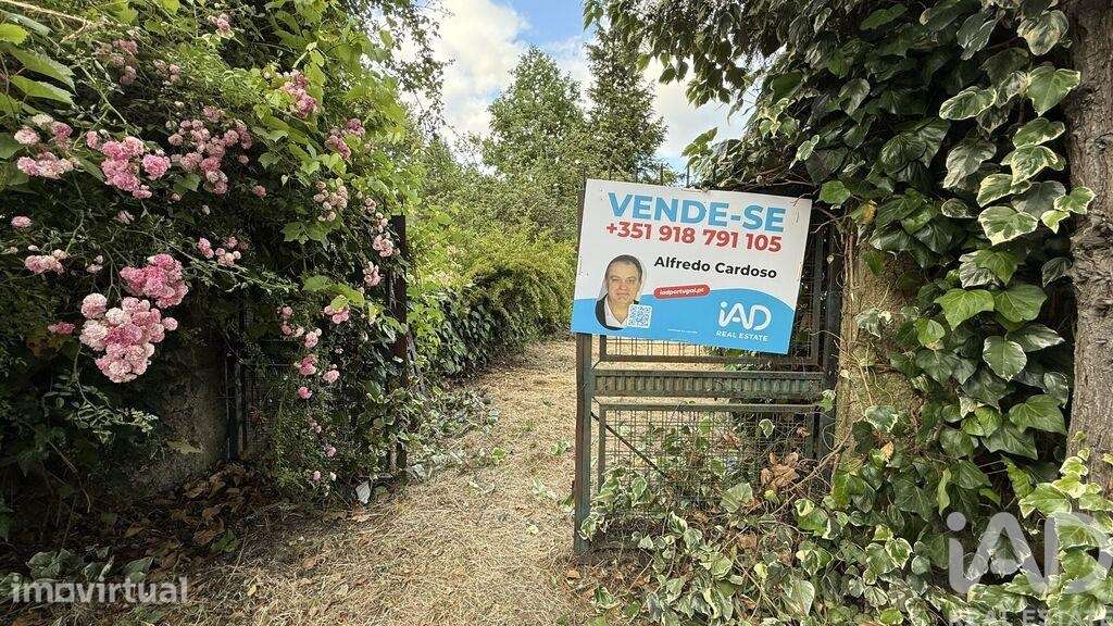 Quinta rural T4 em Parada de Cunhos de 120 m2 - Grande imagem: 2/40