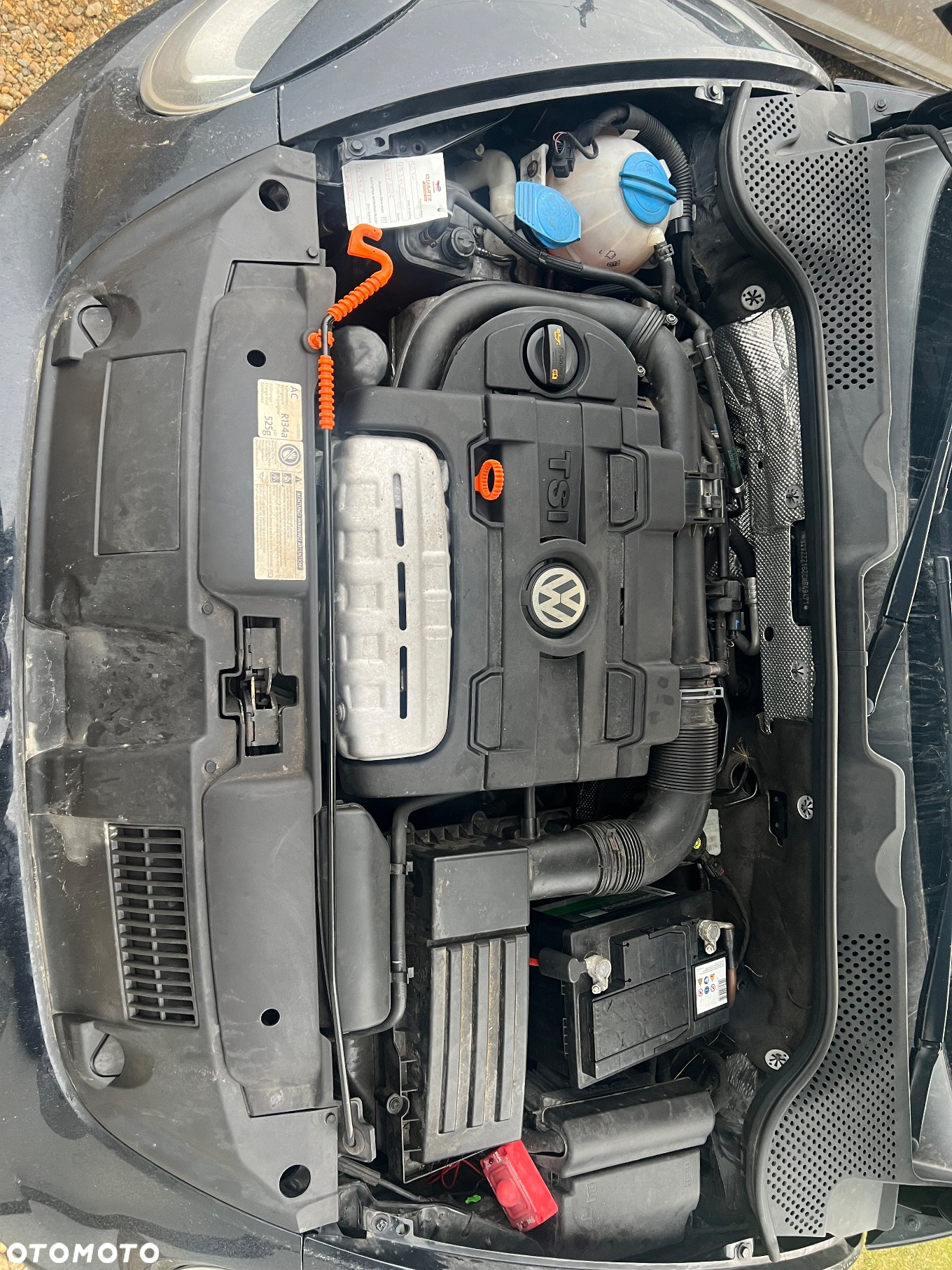 Volkswagen New Beetle - 11