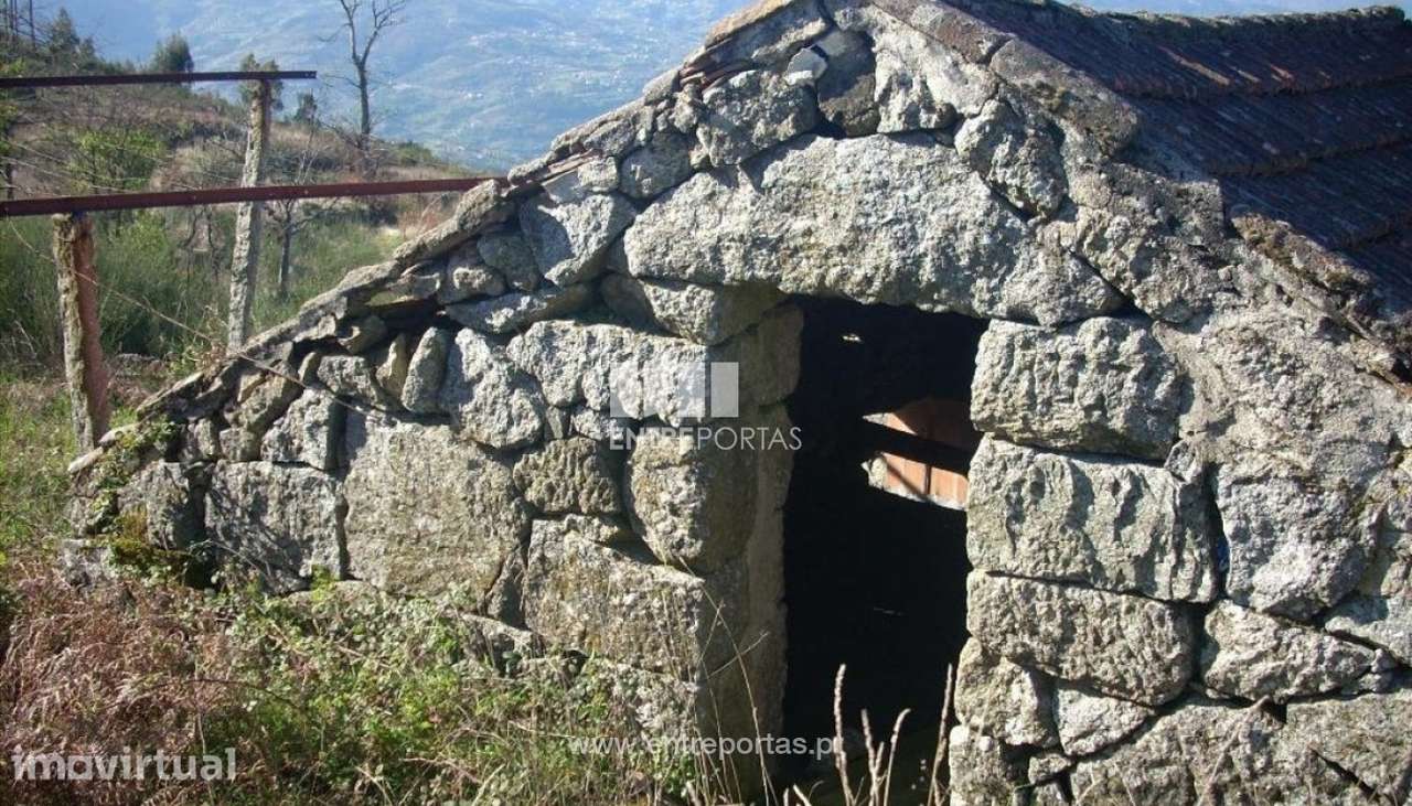 Venda Terreno, Gestaçô, Baião - Grande imagem: 4/10