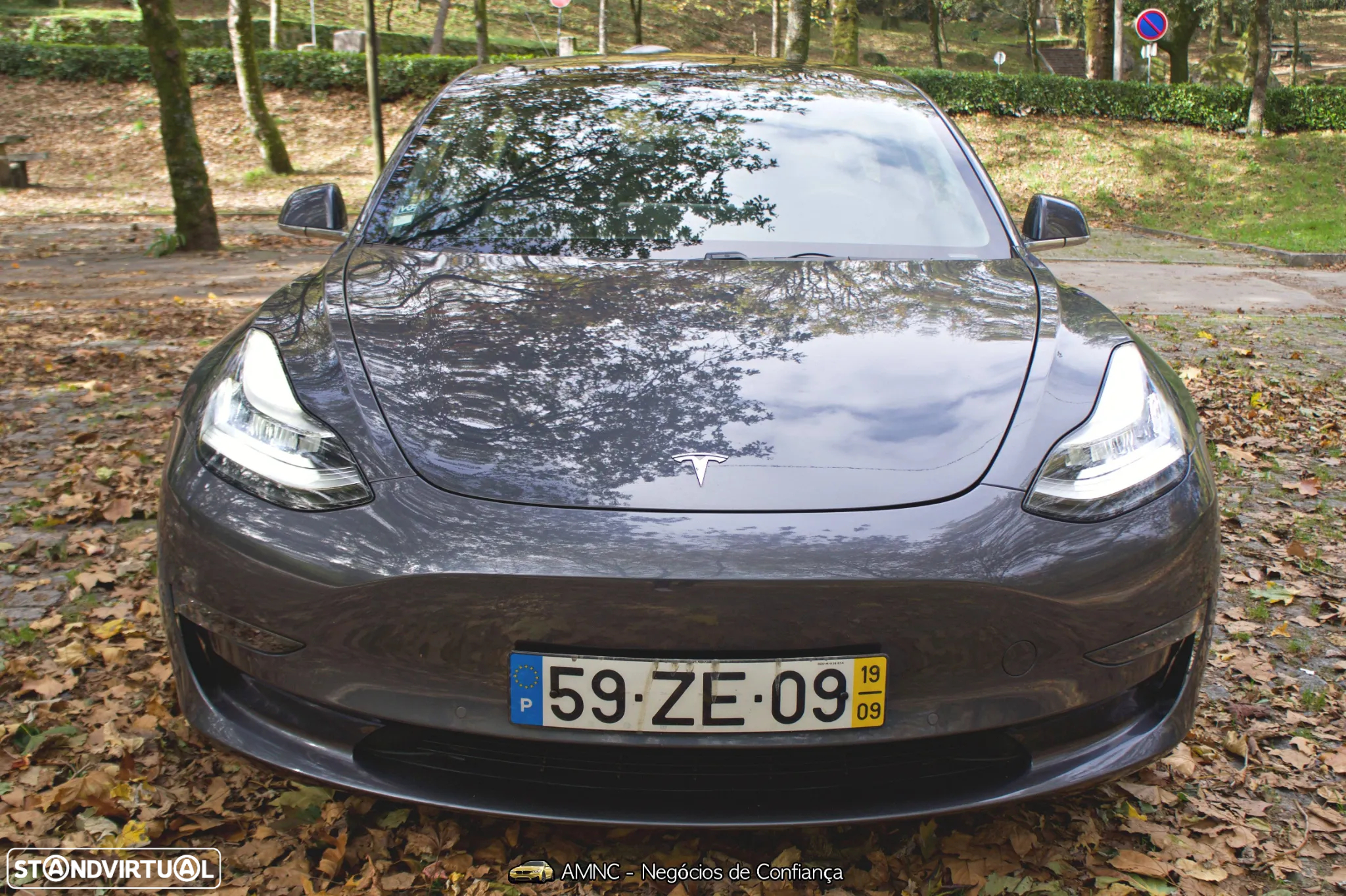 Tesla Model 3 Performance Dual Motor AWD - 17