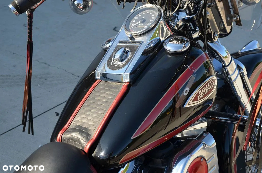Harley-Davidson Softail - 13