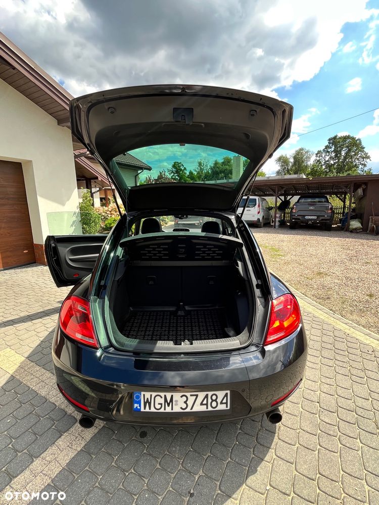 Volkswagen Beetle - 10
