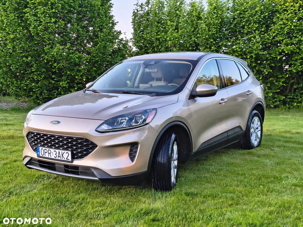Ford Escape - 9