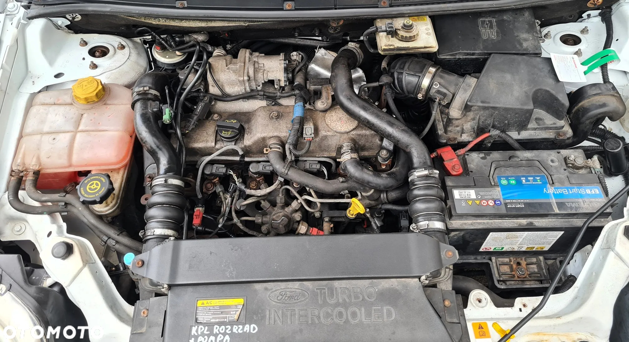 Ford TRANSIT TOURNEO CONNECT MAXI - 28