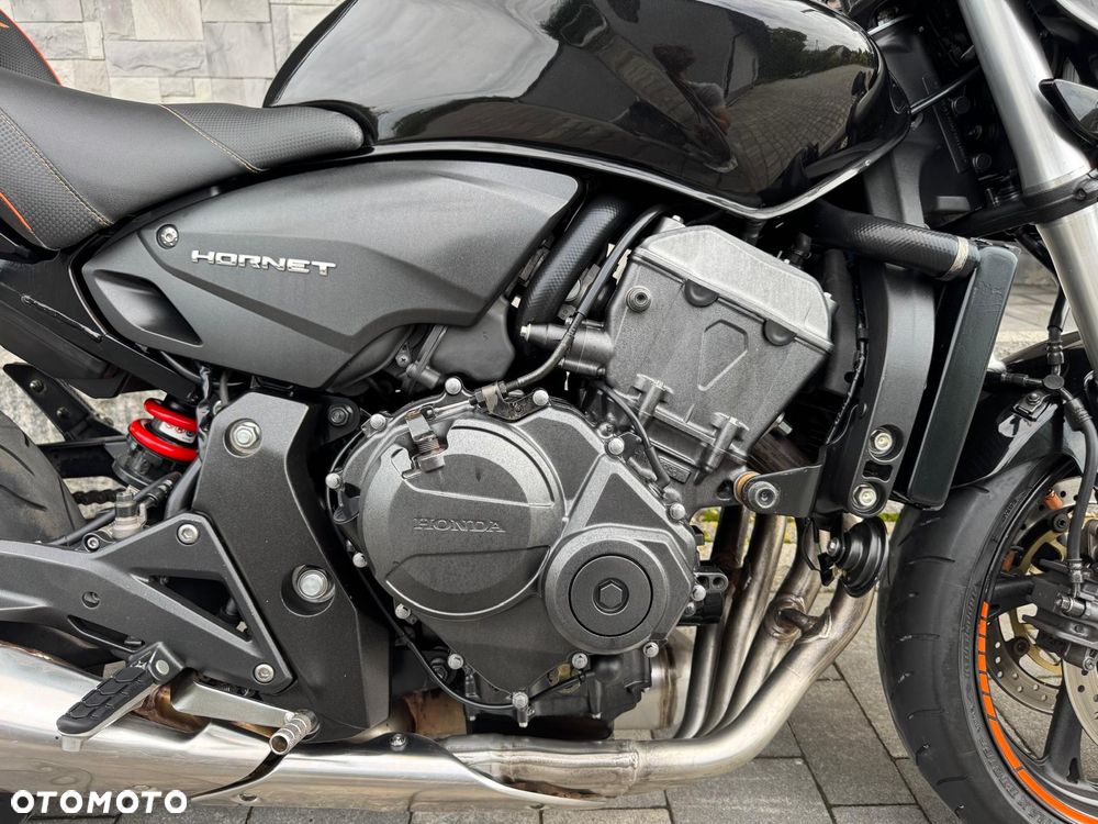 Honda Hornet - 19