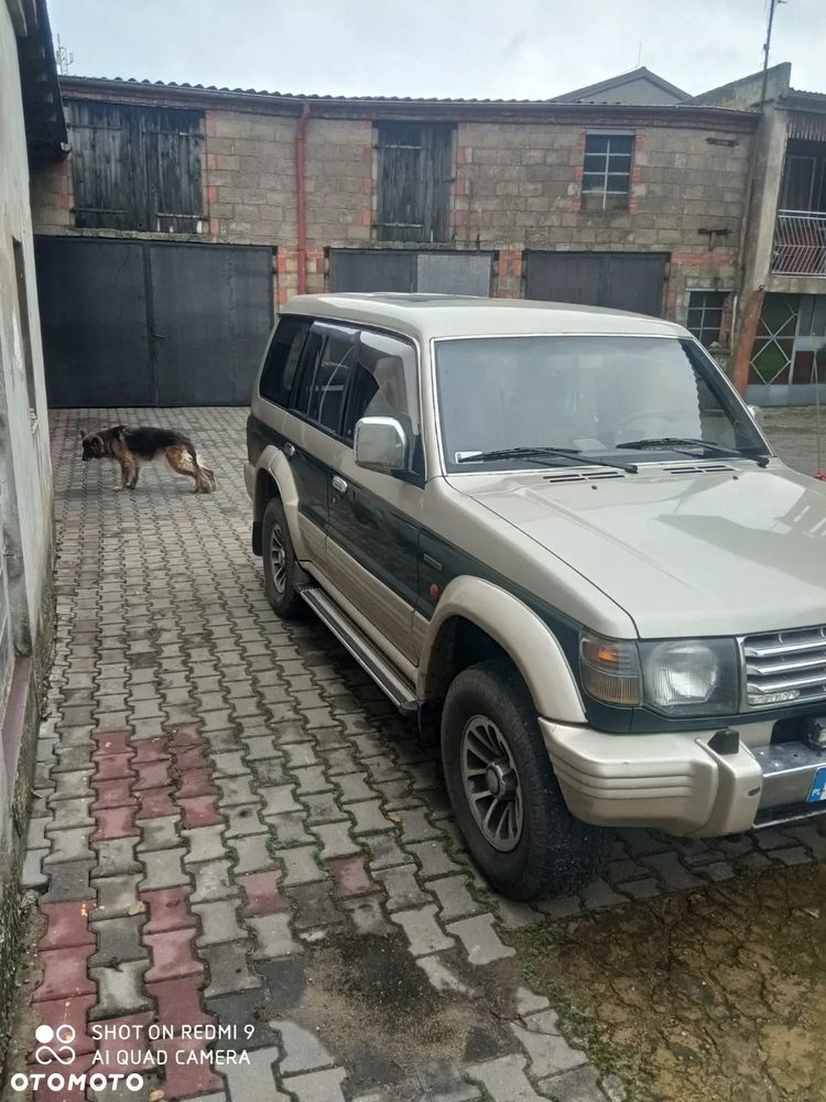 Mitsubishi Pajero Pinin - 4