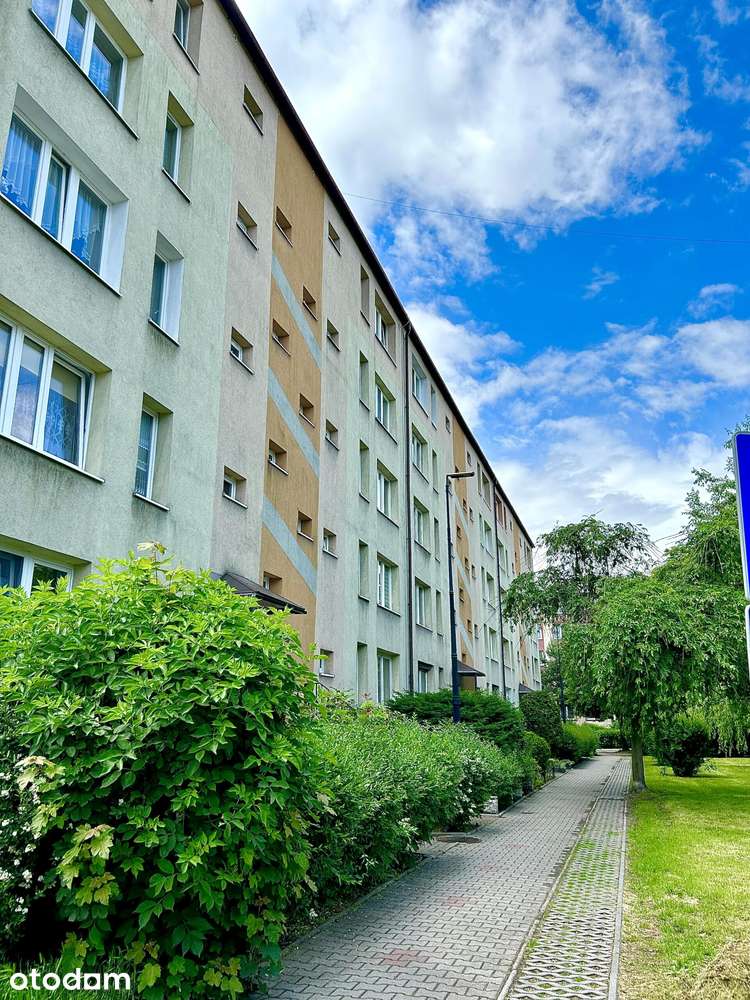 Szymały 46m2 balkon widna kuchnia