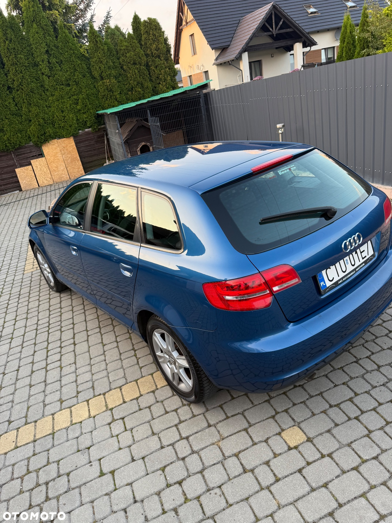 Audi A3 1.6 TDI 99g DPF - 3