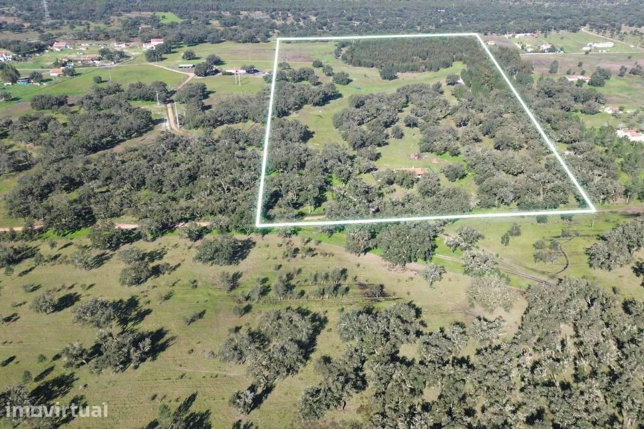 Refúgio Rural em Foros do Locário – 12,55 ha com Habitação e... - Grande imagem: 4/27