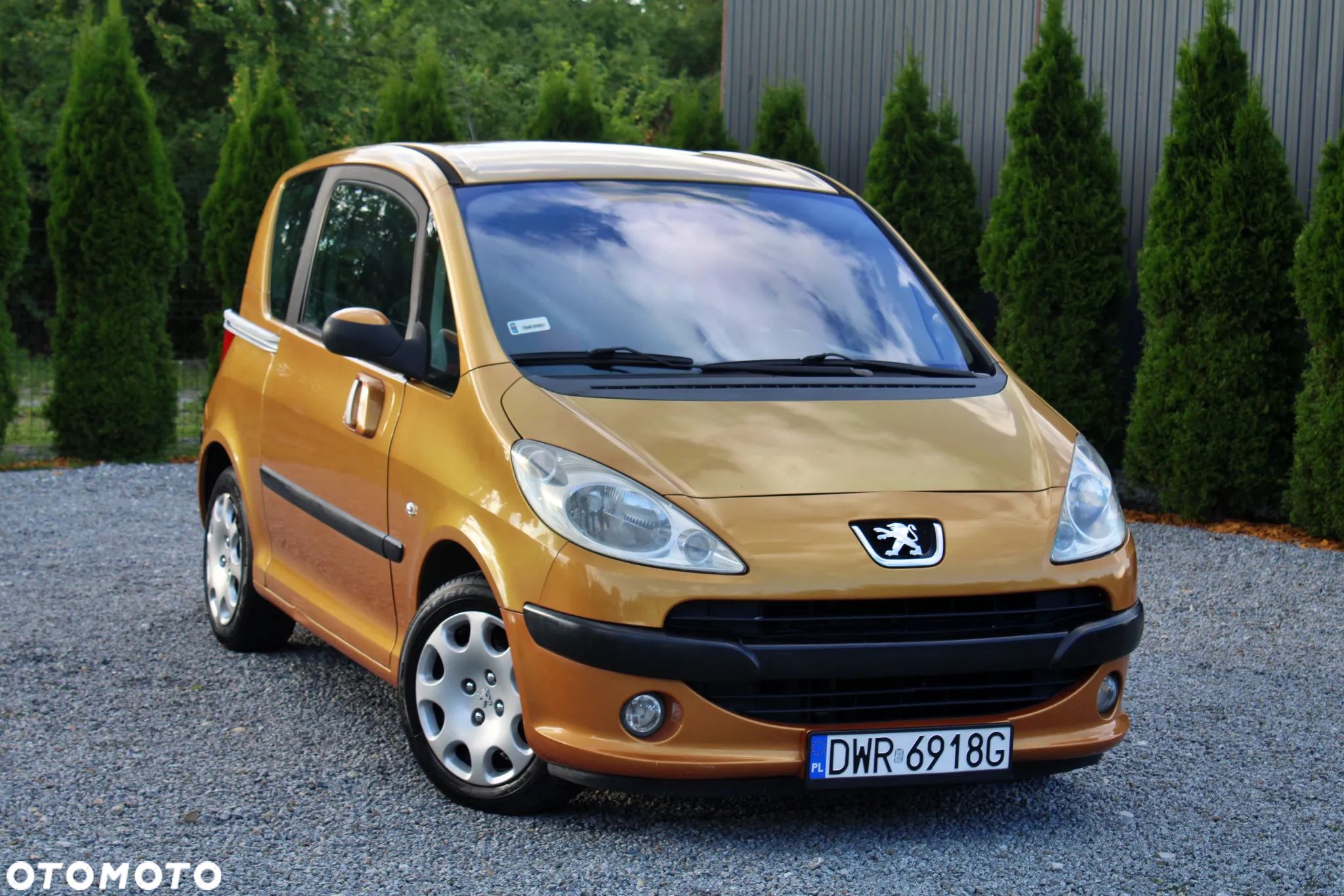 Peugeot 1007 75 Filou - 1