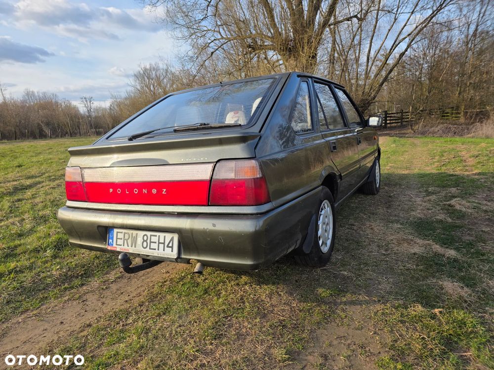 Polonez Caro - 12