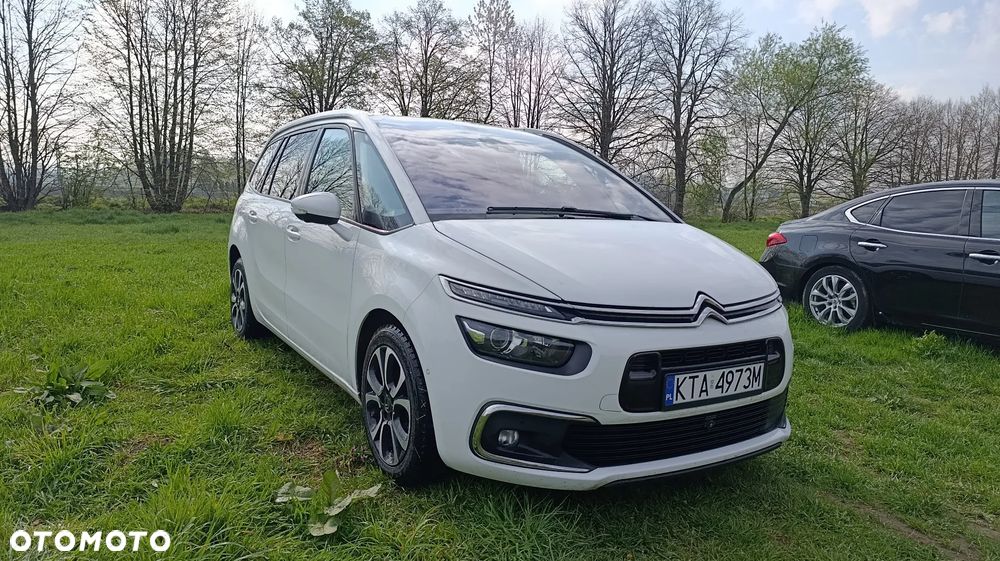 Citroën C4 SpaceTourer 1.5 BlueHDi Shine S&S EAT8 - 6