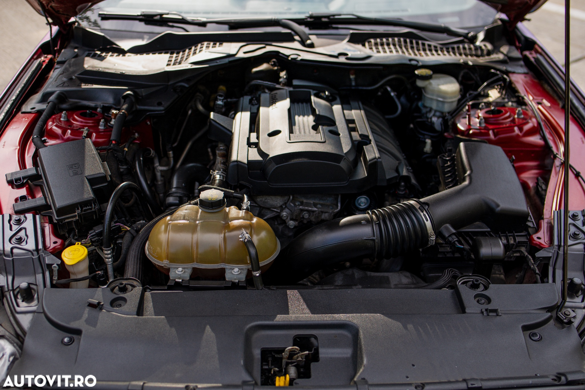 Ford Mustang 2.3 EcoBoost Aut. - 19