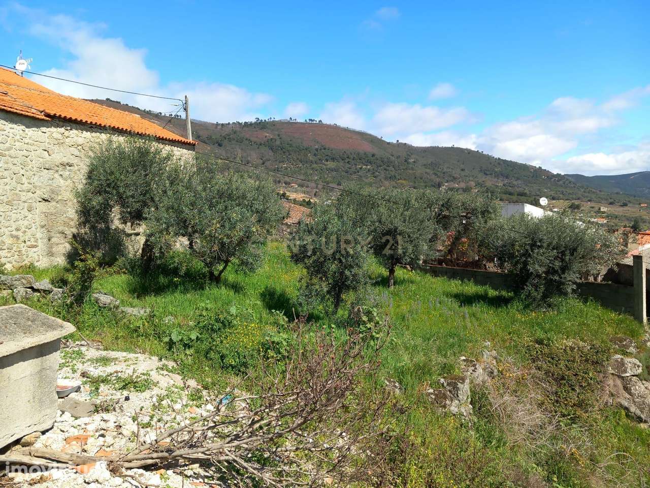 Terreno Rustico Alpedrinha - Grande imagem: 2/6