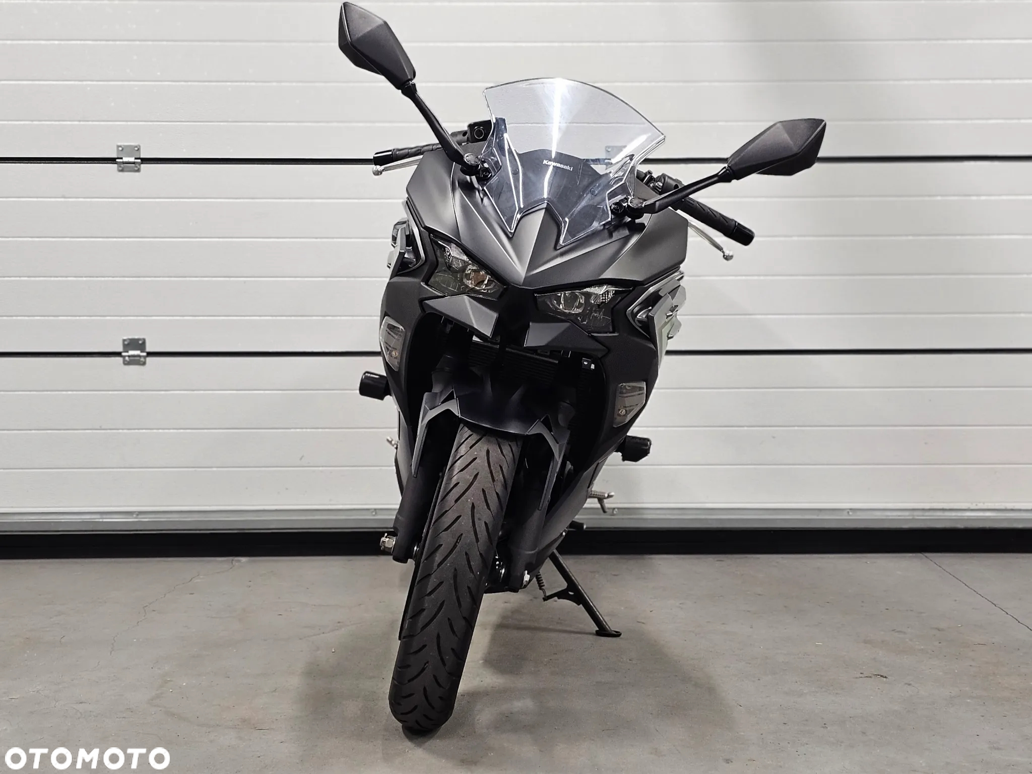 Kawasaki Ninja - 8