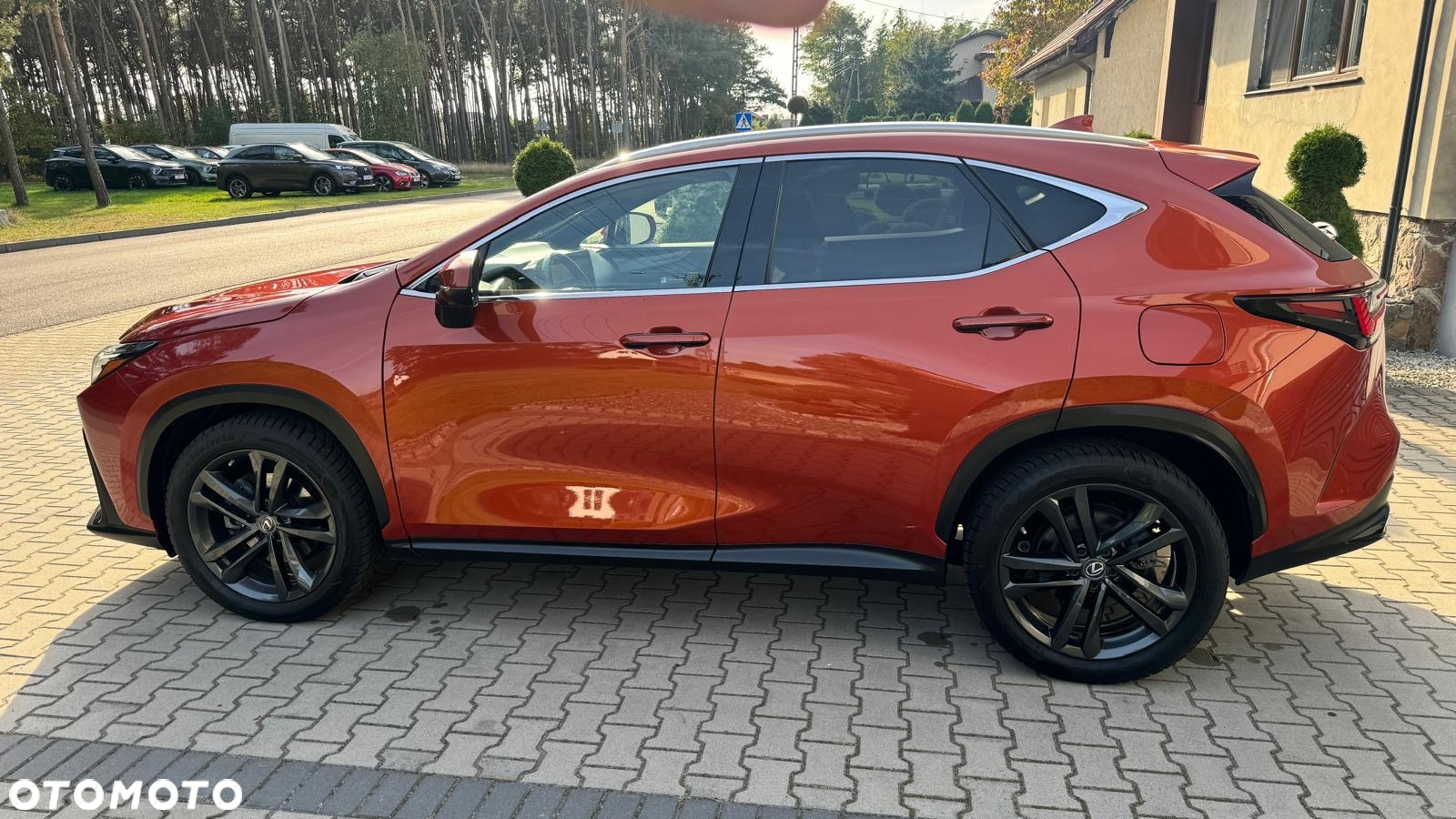 Lexus NX - 11