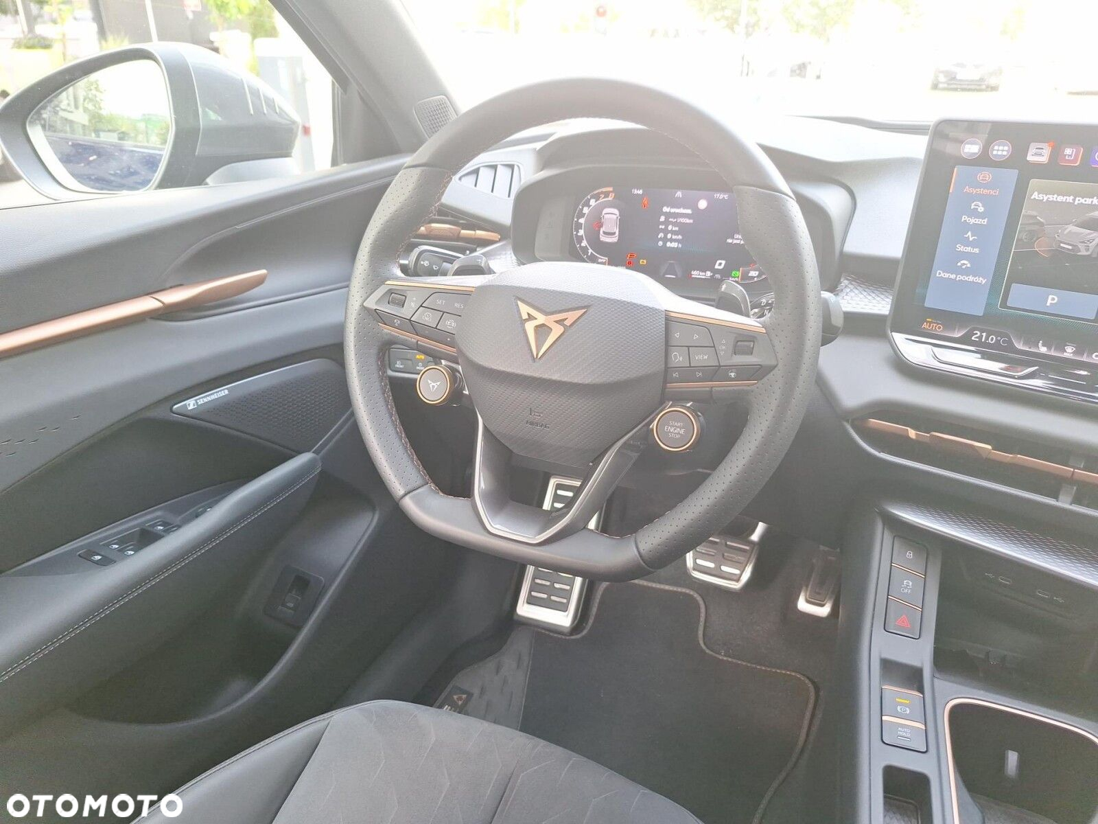 Cupra Terramar - 15