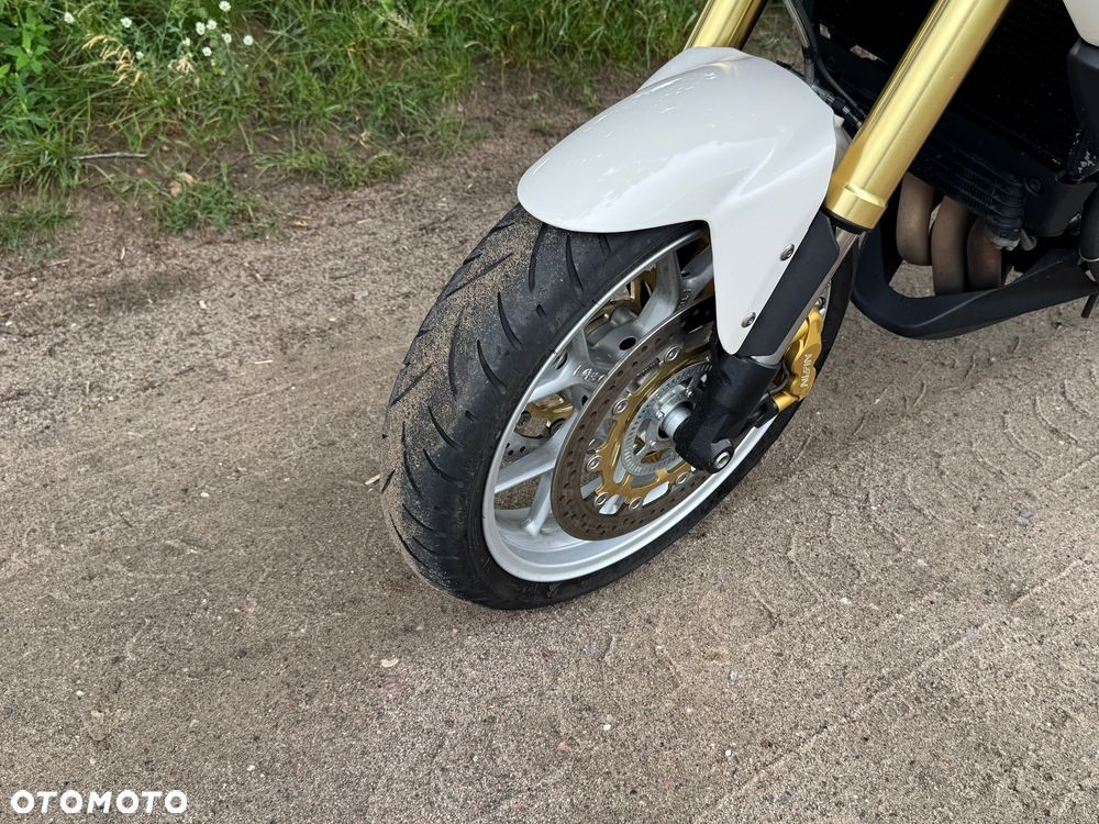 Triumph Tiger - 17