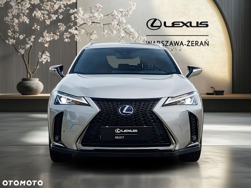 Lexus UX 250h GPF F Sport Edition 2WD - 10