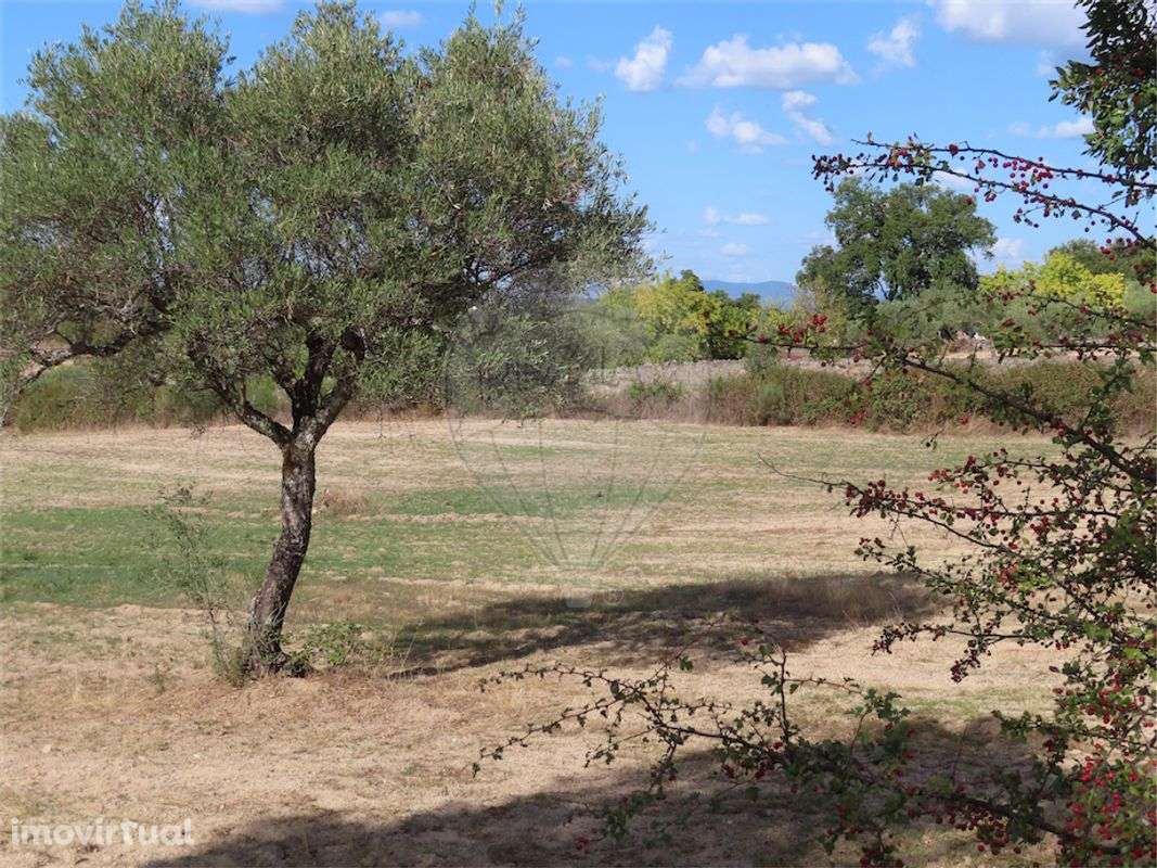 Quinta  para venda - Grande imagem: 5/21