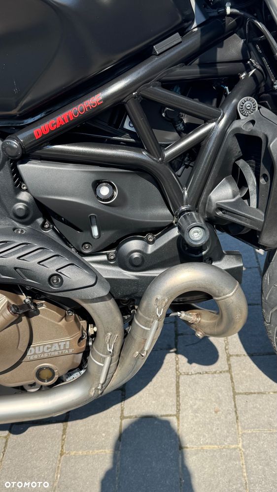 Ducati Monster - 5