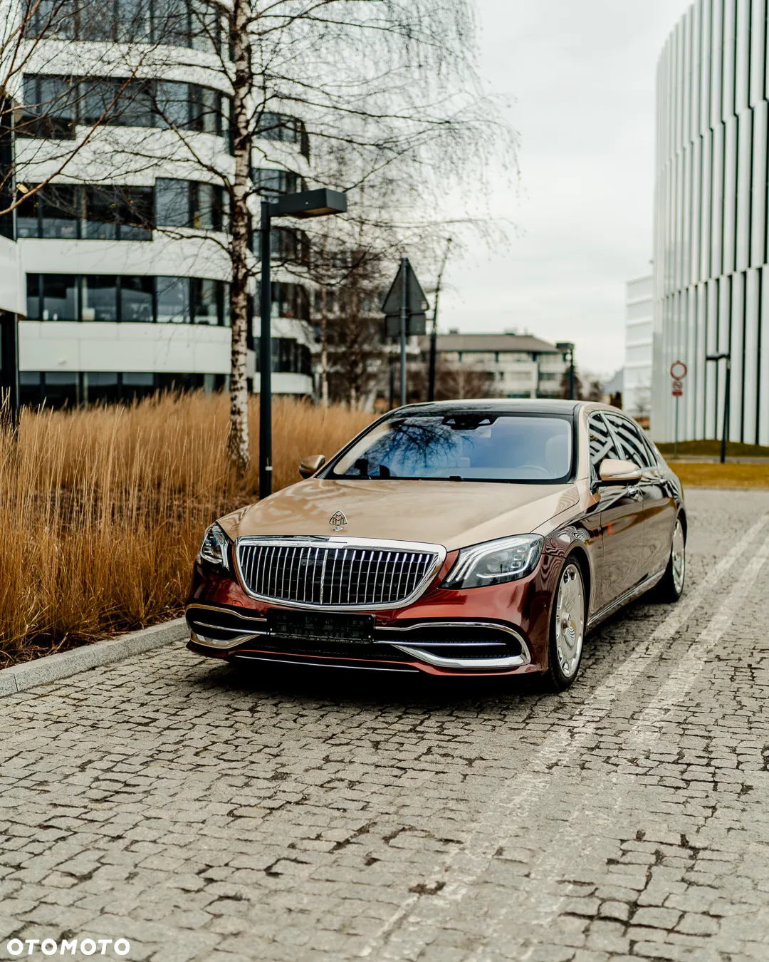 Mercedes-Benz Maybach Klasa S 560 4-Matic - 2