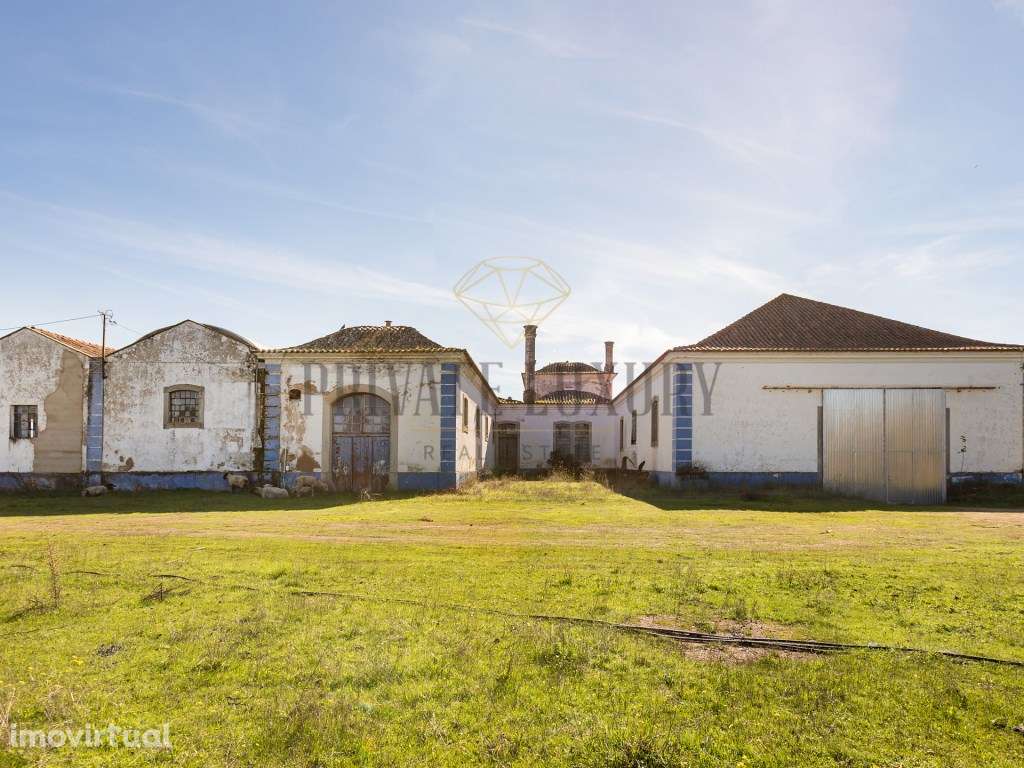 Quinta de renome em plena Vidigueira - Grande imagem: 4/43