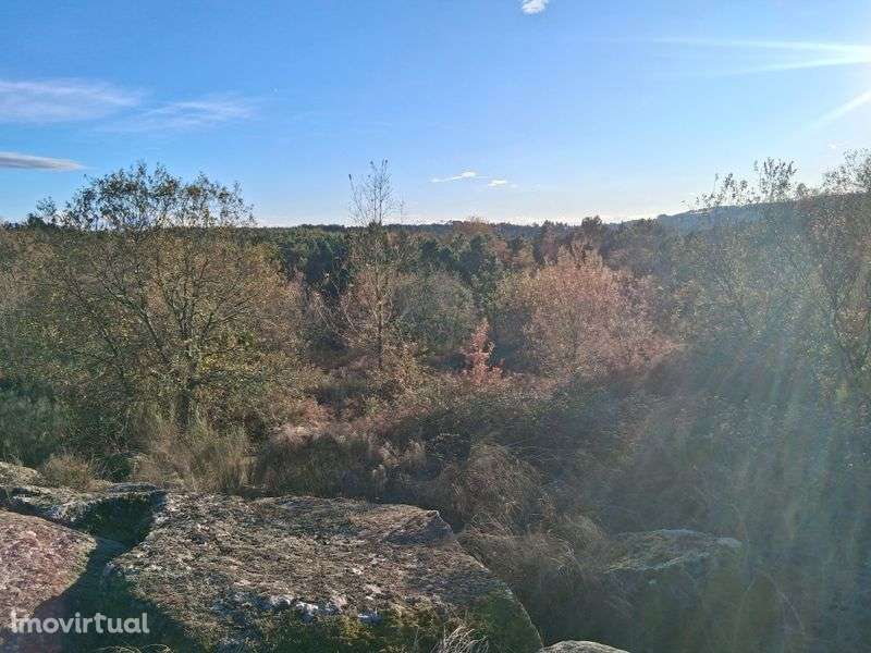 Terreno Rústico agrícola em Ermida Cavernãs - Grande imagem: 5/7