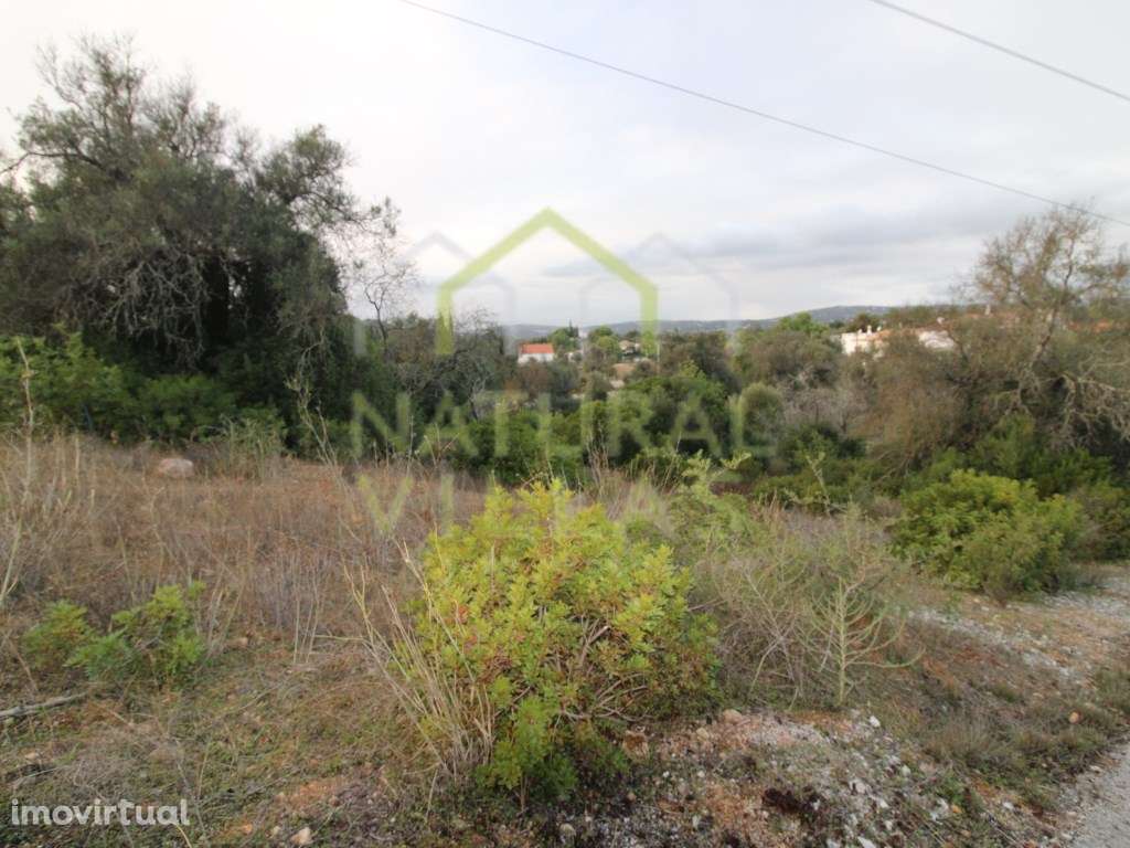 Terreno com Viabilidade Construtiva em Poço da Amoreira, Loulé - Grande imagem: 3/8