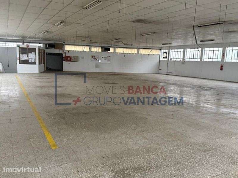 **EDIFÍCIO INDUSTRIAL | 3.300 m² | ESCAPÃES  SANTA MARIA DA FEIRA** - Grande imagem: 4/5