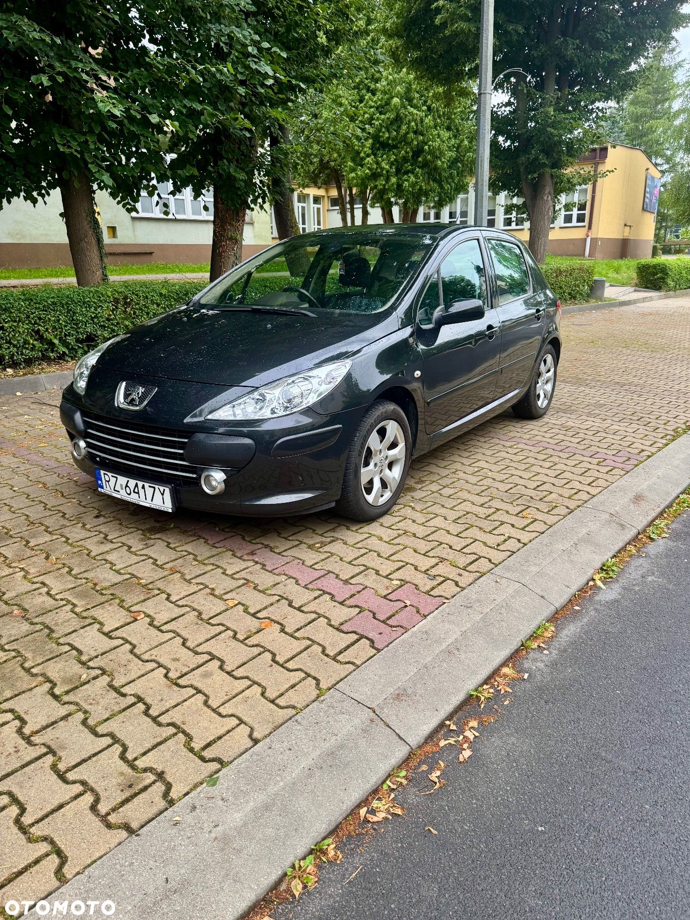 Peugeot 307 140 Sport - 1