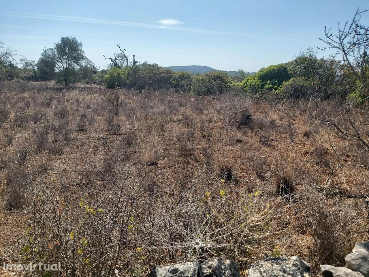 TERRENO RÚSTICO COM 2300M2 NAS TERRAS-MORTAS - S. SEBASTIÃO - LOULÉ - Grande imagem: 4/15