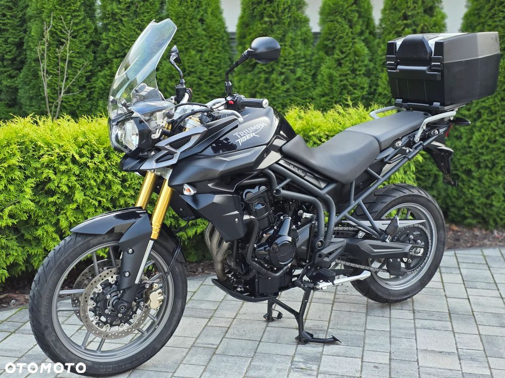 Triumph Tiger - 26