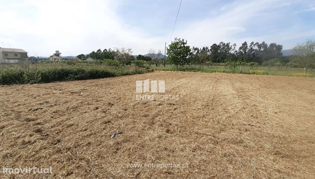 Venda de Terreno, Deão, Viana do Castelo - Grande imagem: 2/30