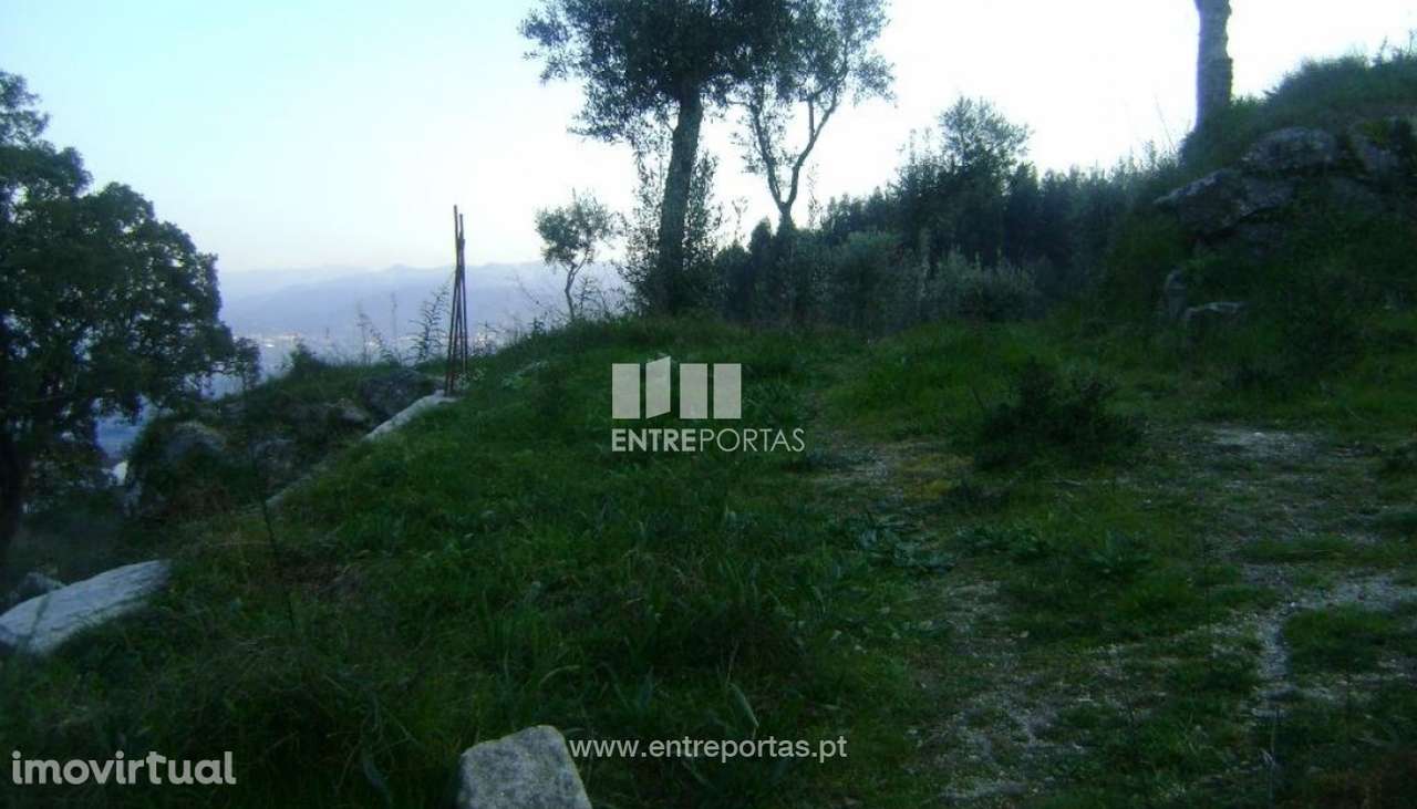 Venda Terreno, Paredes de Viadores, Marco de Canaveses - Grande imagem: 3/9