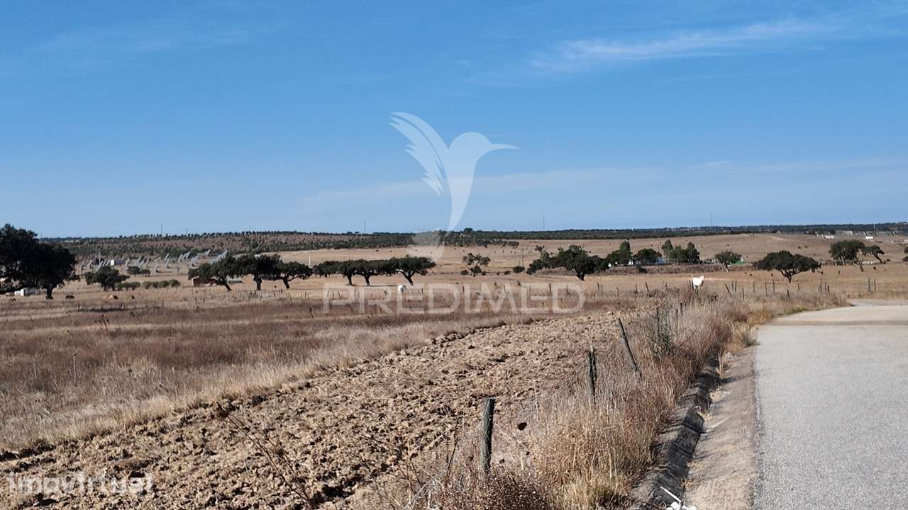 Terreno Rústico com 4 Hectares e Viabilidade de Construção no Rosário - Grande imagem: 5/8