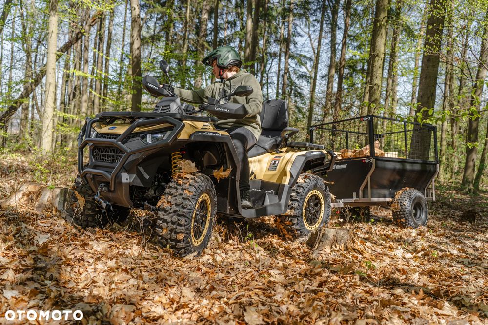 Linhai Landforce 1000L EPS - 17