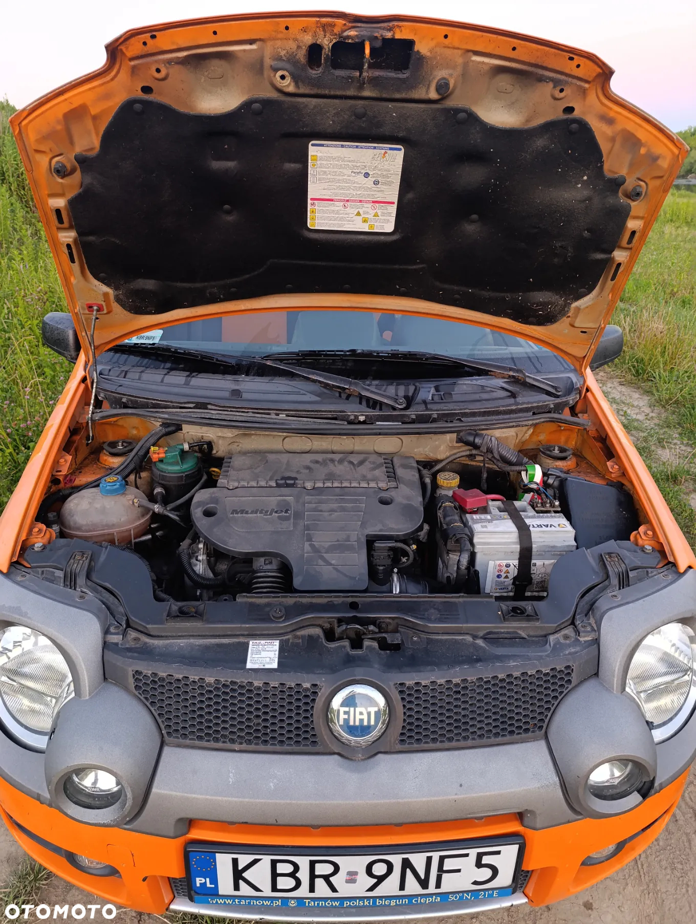 Fiat Panda 1.3 4x4 Multijet Diesel Cross - 11