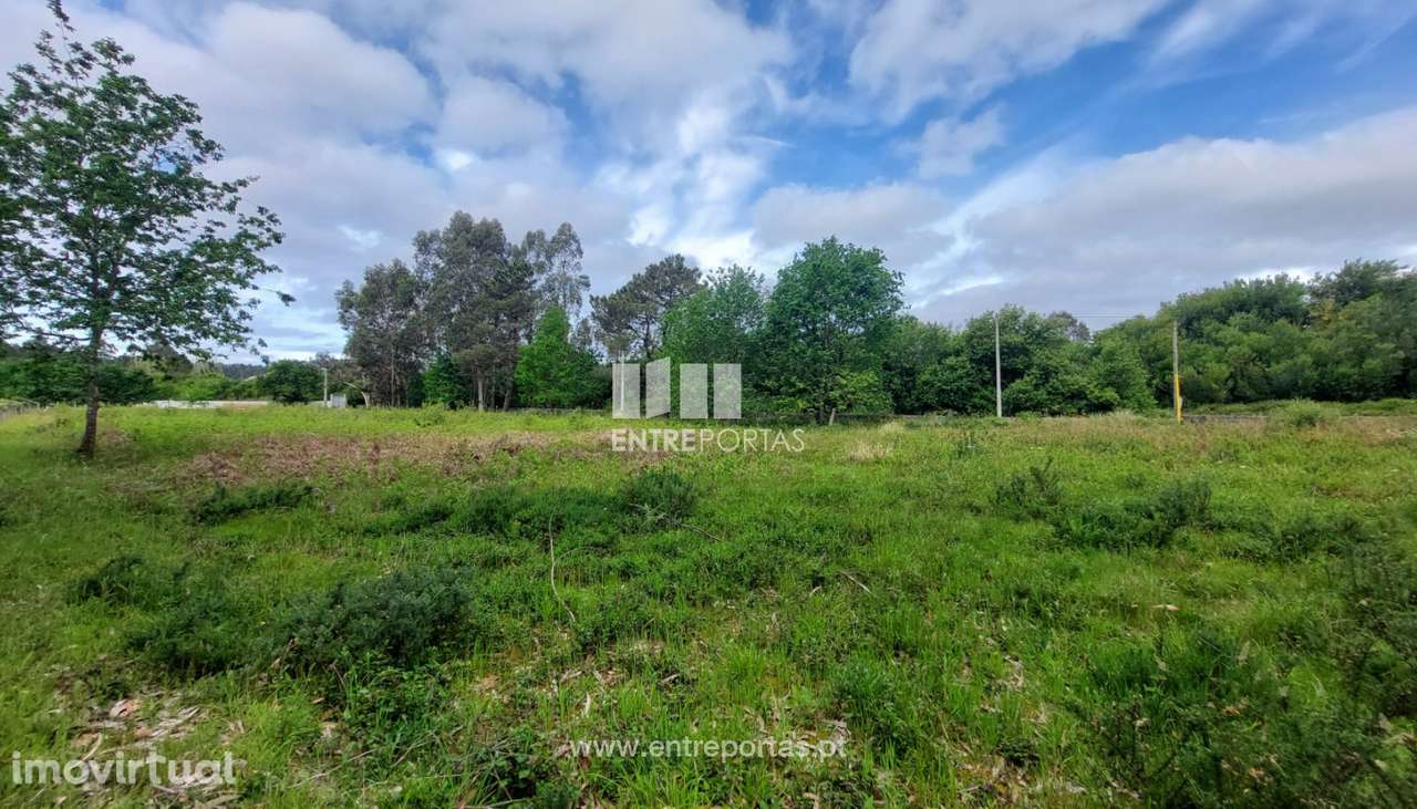 Venda de terreno agrícola com 6500m², Alvarães, Viana do Castelo - Grande imagem: 5/30