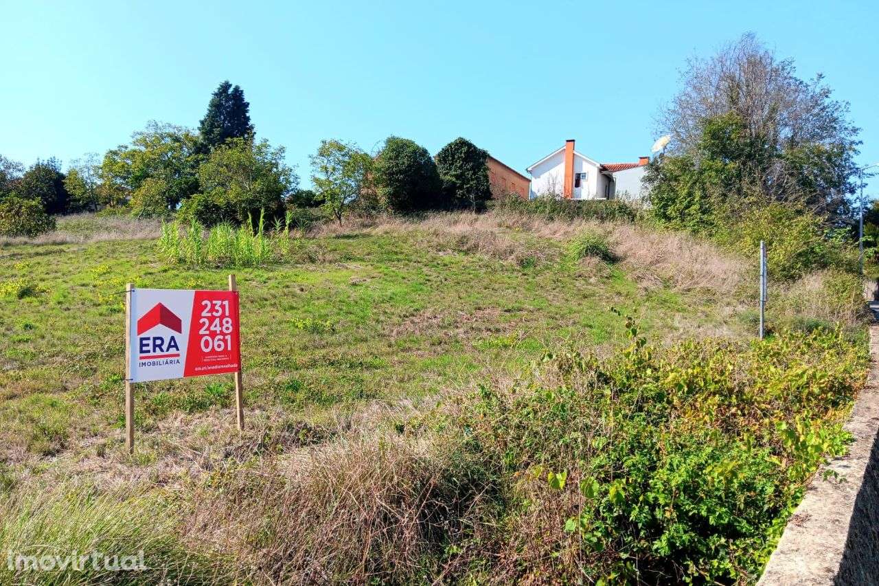Terreno Rústico com viabilidade de construção Aguim | ERA Imobiliária - Grande imagem: 4/6