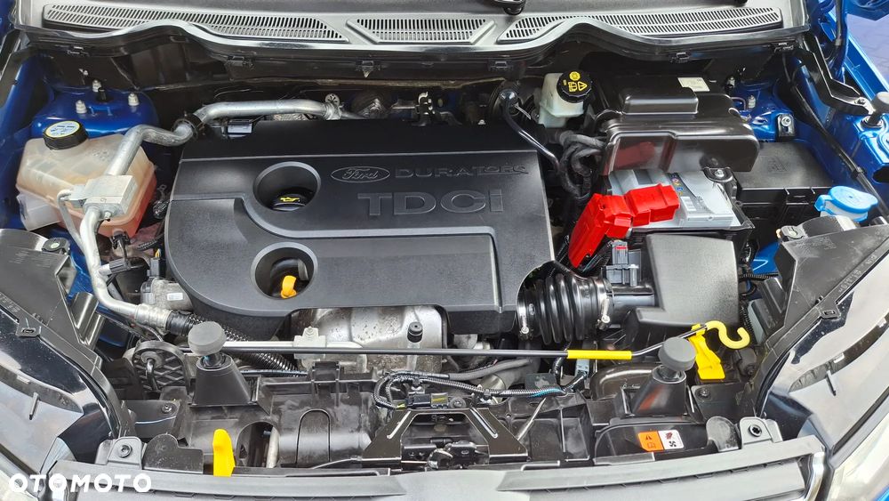 Ford EcoSport 1.5 EcoBlue Titanium ASS - 25