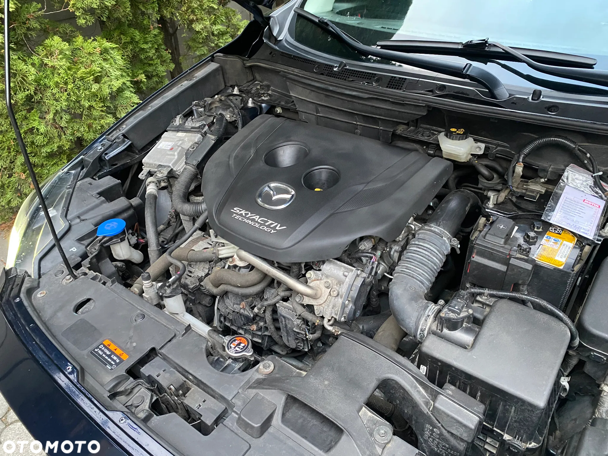 Mazda CX-3 - 19