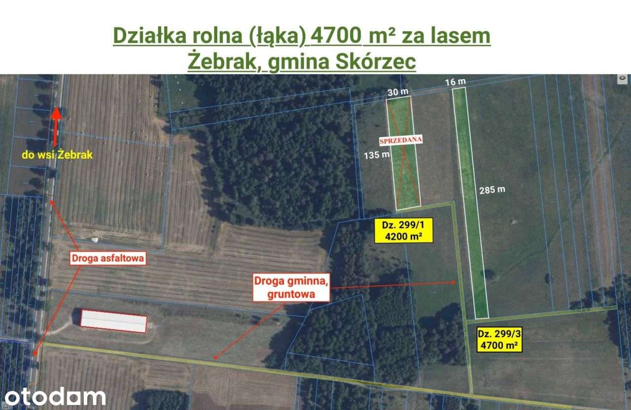Działa rolna (łąka) 4700 m², Żebrak, gm. Skórzec - Pełny obrazek: 2/7
