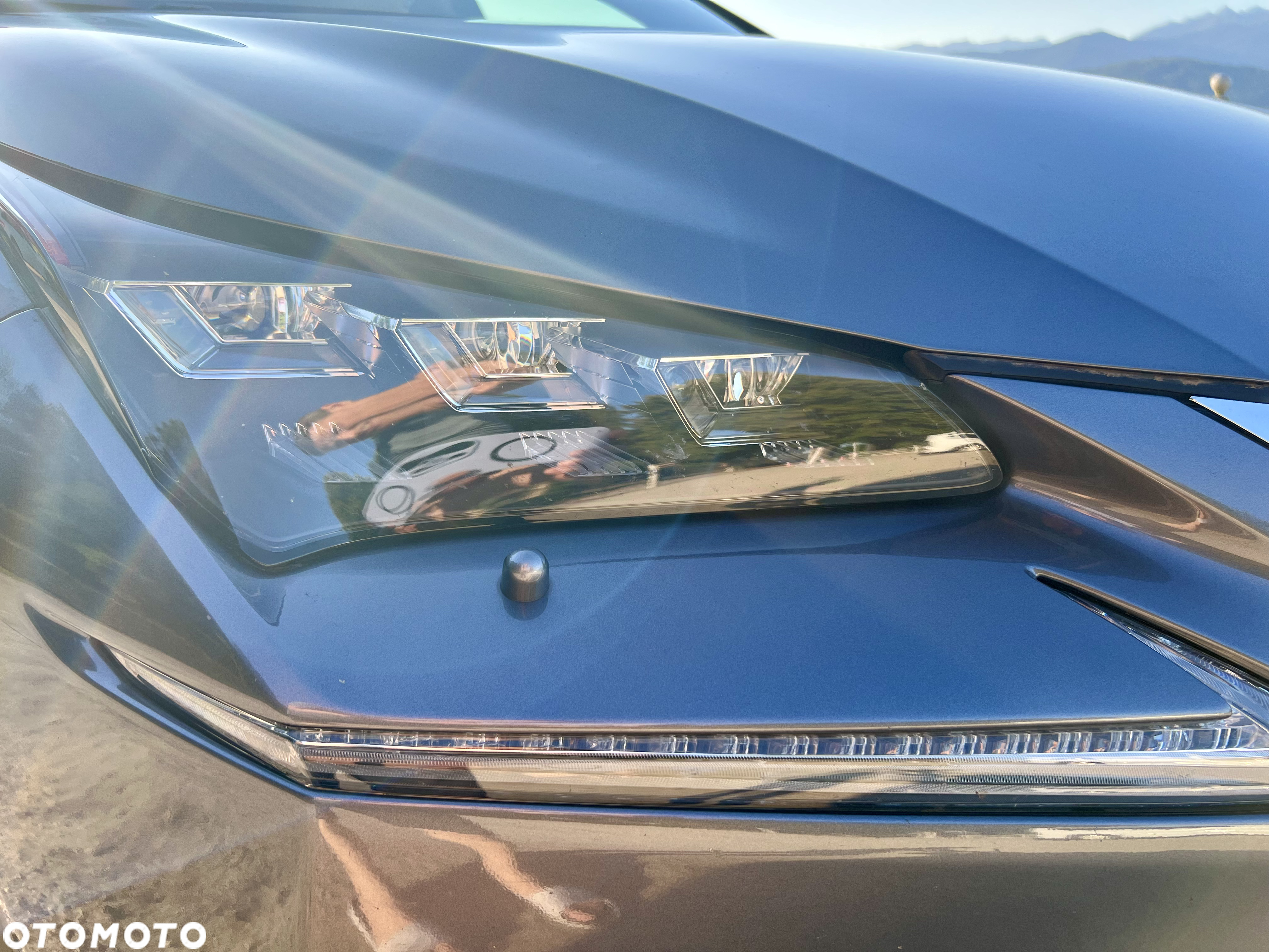 Lexus NX 300h Prestige AWD - 13
