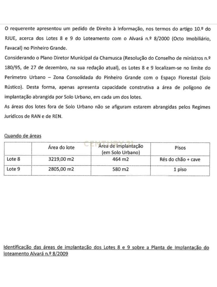 Dois Lotes com 6.024 m²  Vista Panorâmica sobre o Rio Tejo - Pinheiro - Grande imagem: 2/23